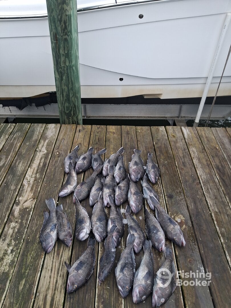 North Carolina Report Photo 0