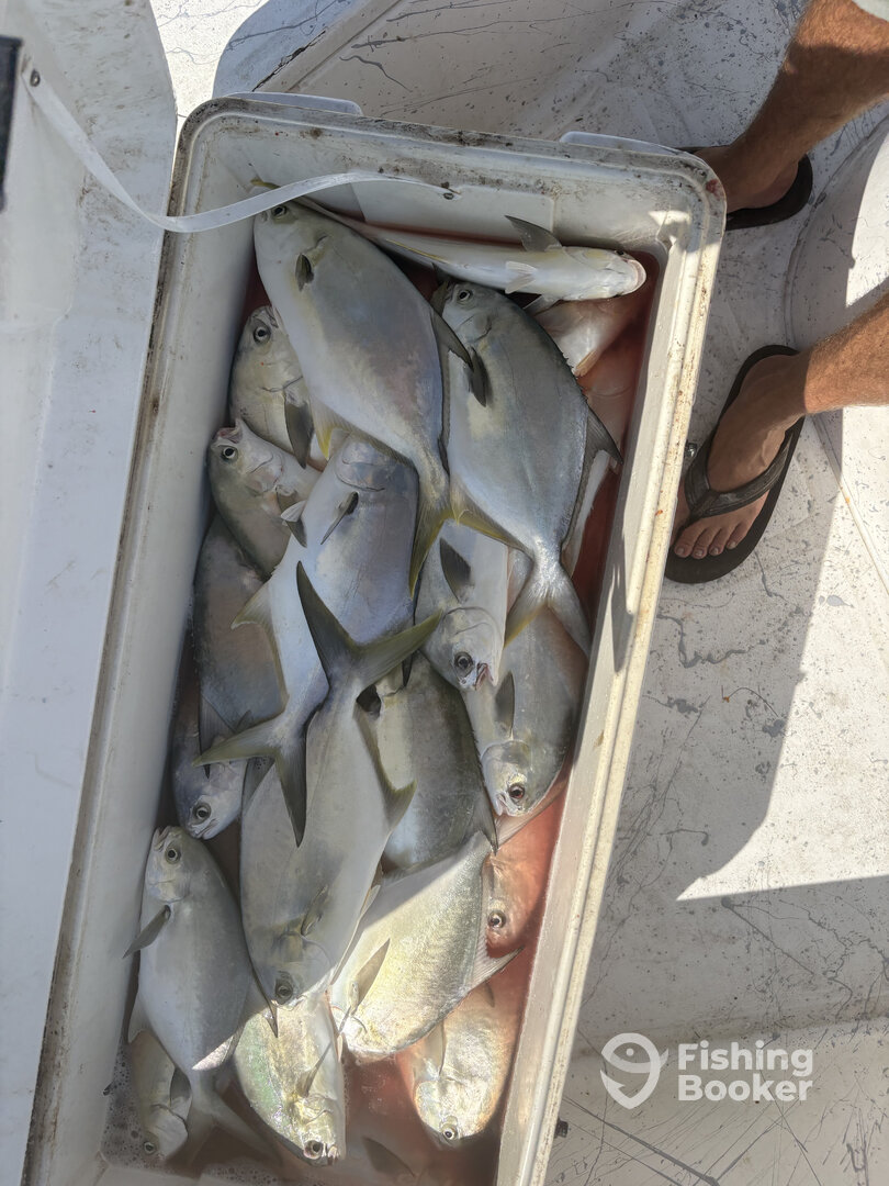 Port Canaveral Report Photo 0