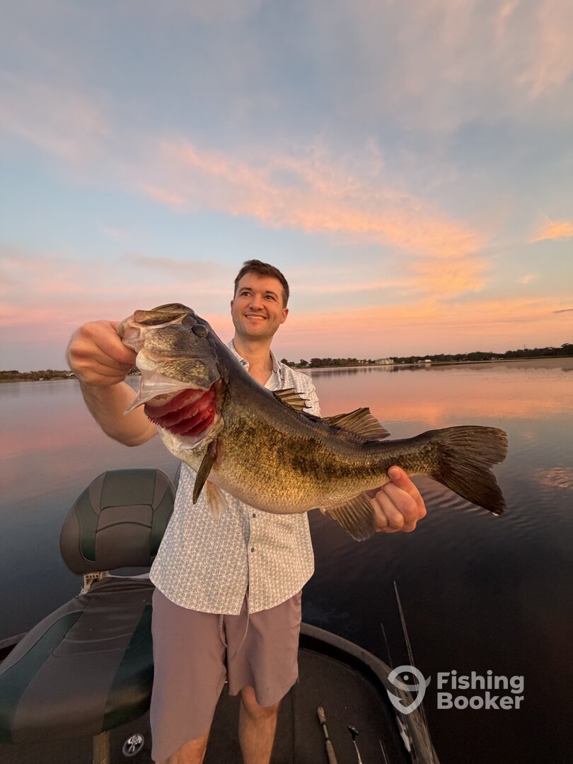 Orlando Report Photo 0