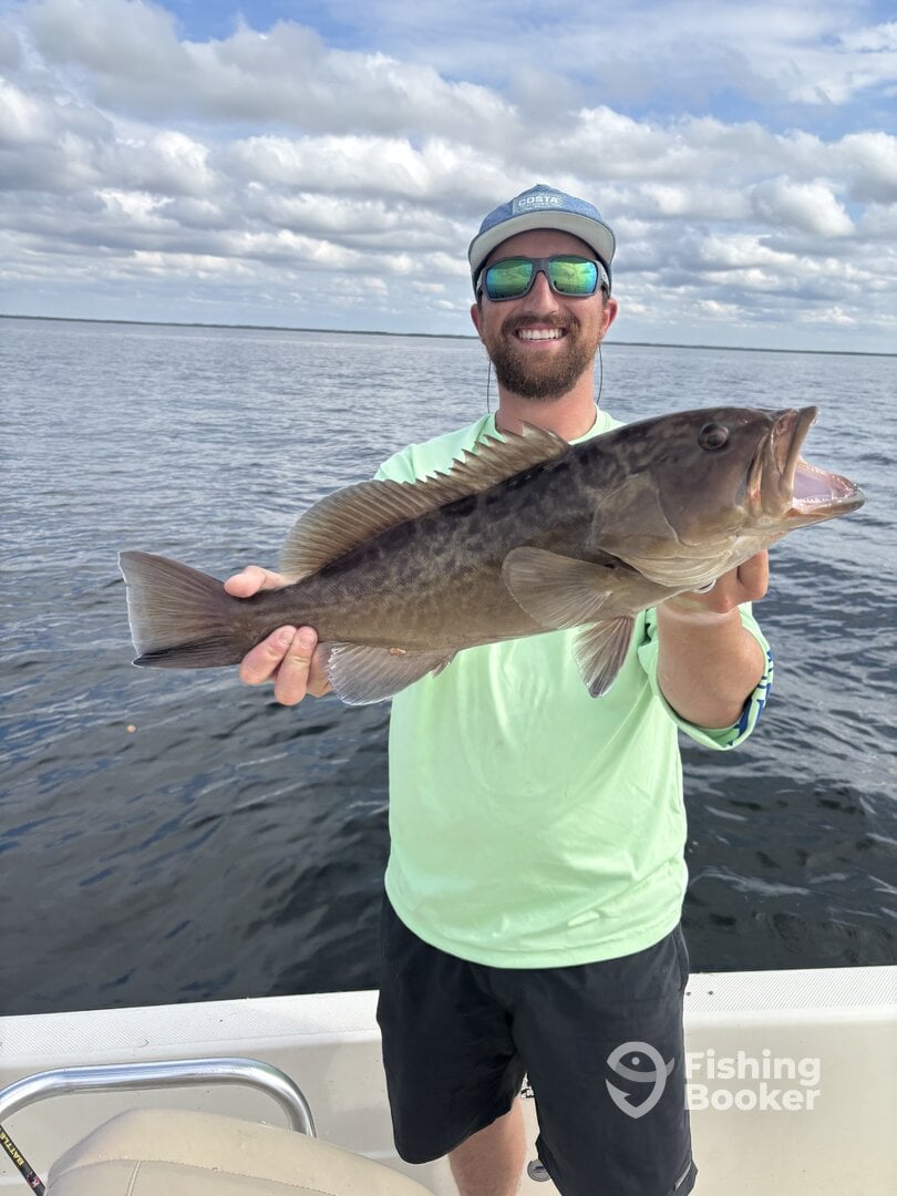 Punta Gorda Report Photo 0