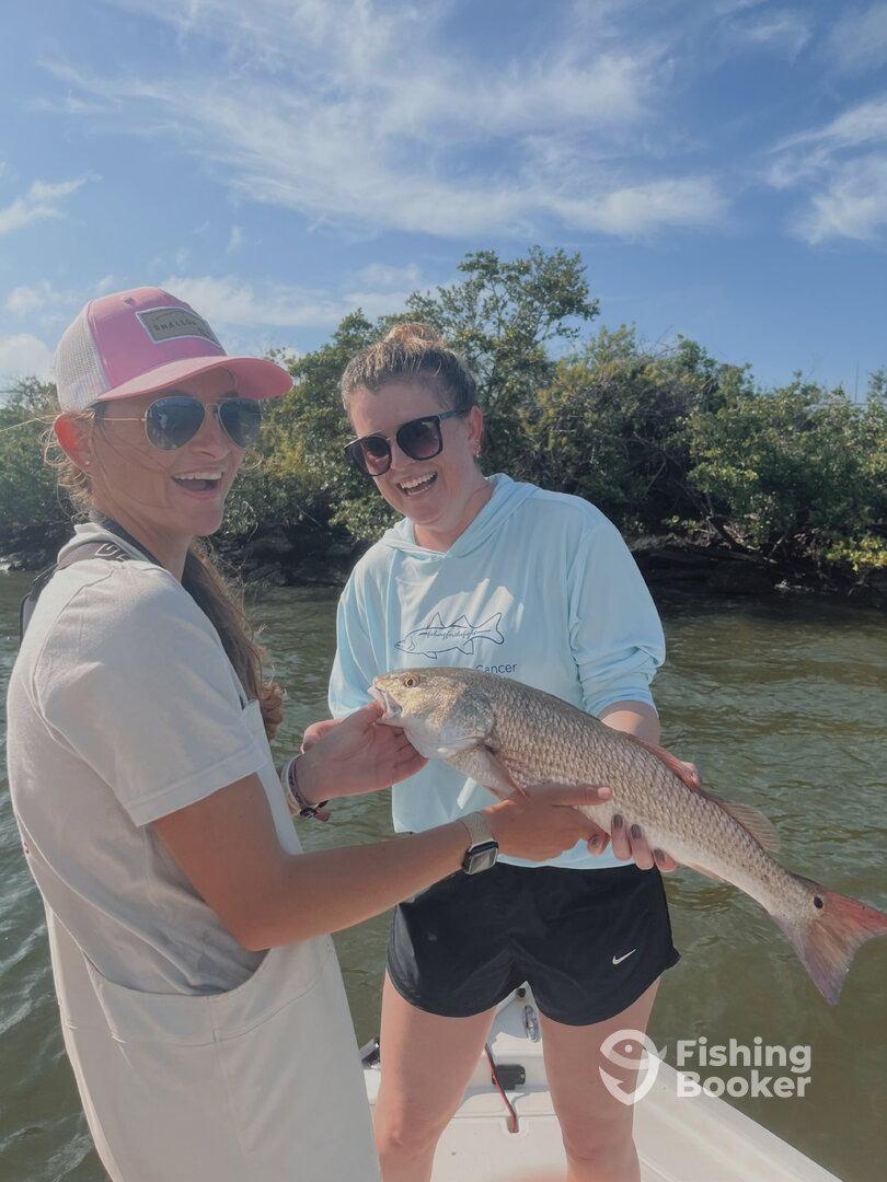 Tampa Report Photo 0