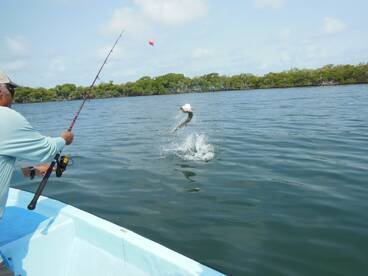 Placencia Report Photo 1