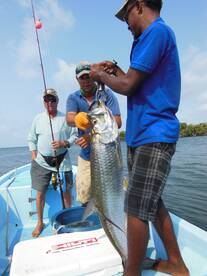 Placencia Report Photo 2