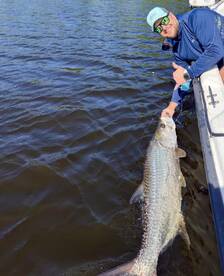 Great morning action