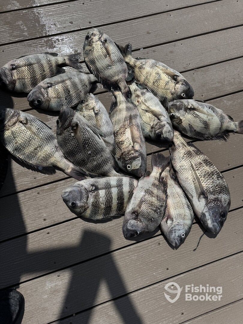 Cape Coral Report Photo 0