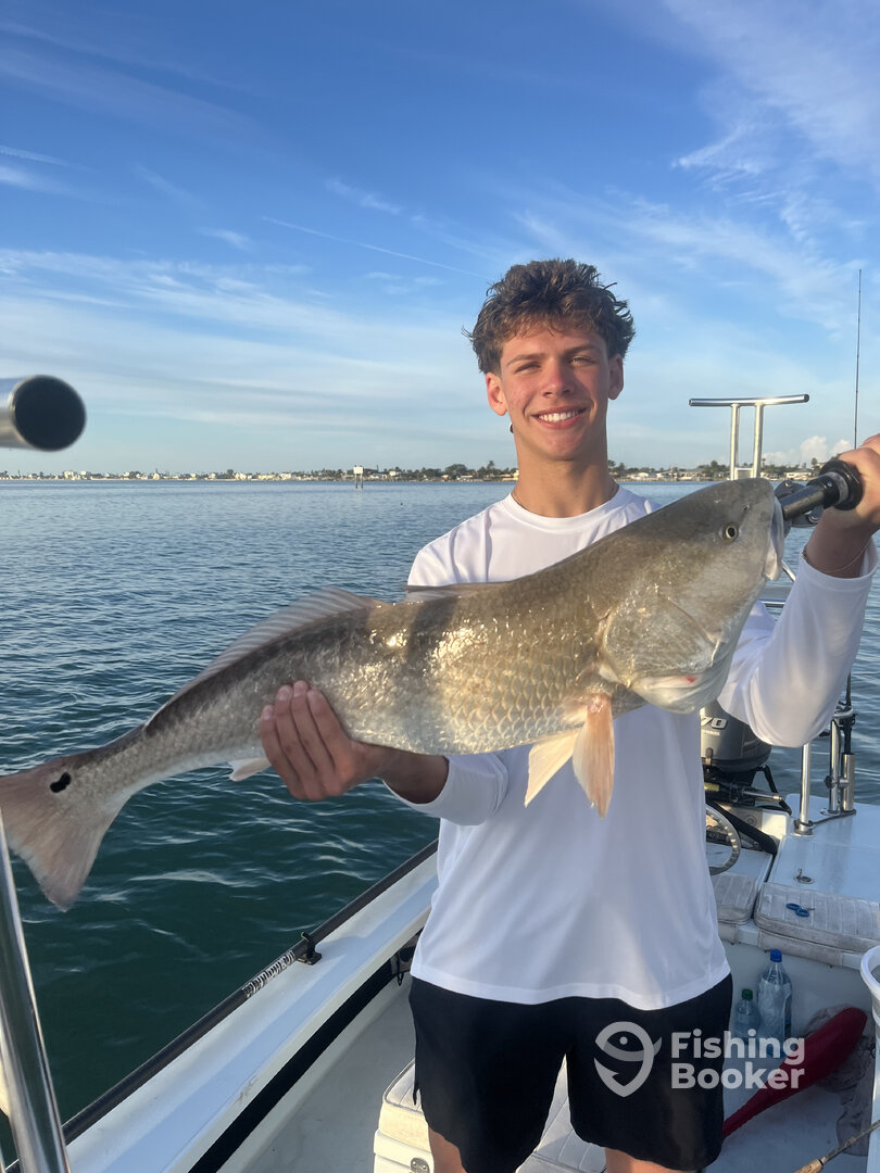 St. Petersburg Report Photo 0