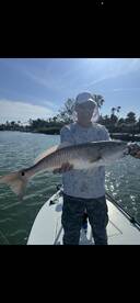 St. Petersburg Report Photo 2