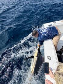 Playa Flamingo Report Photo 2