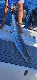 West Bay Report Photo 2