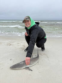 Santa Rosa Beach Report Photo 1