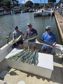 Mahi mahi for everyone!!