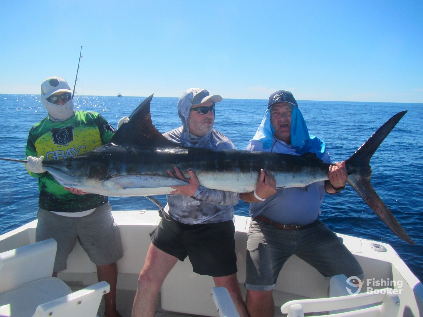 Cabo San Lucas Report Photo 0