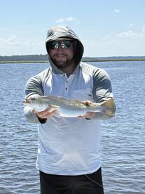 Trout/Redfish Bite