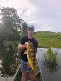 ❗Peacock bass fishing is on fire ❗in the