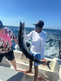 Big Wahoo and Sails For Days