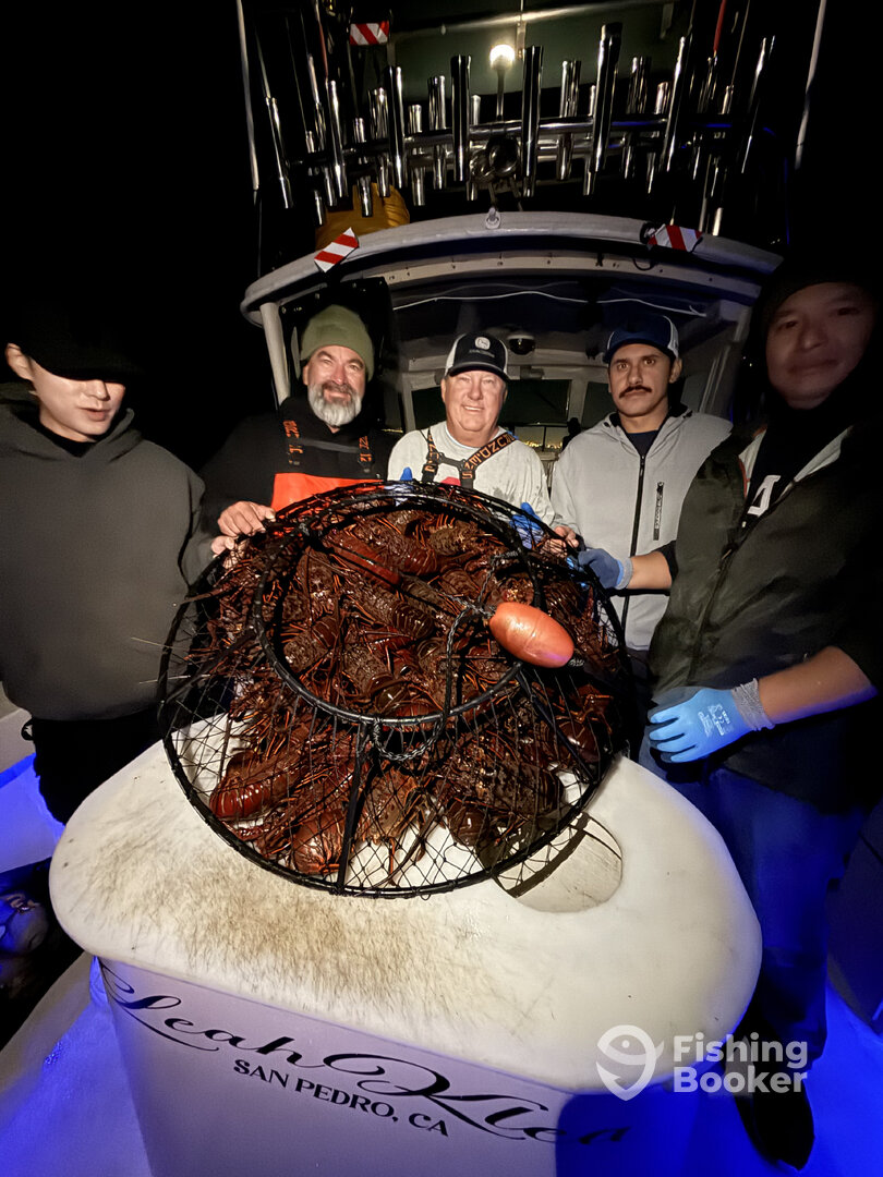 San Pedro Report Photo 0