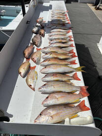 Key West Charter Fishing December 