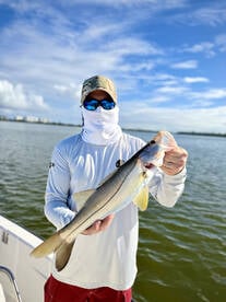 Puerto Rico Report Photo 2