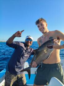Amberjack Adventure