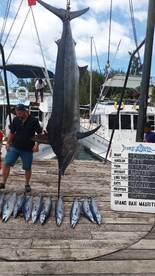 Grand Baie Report Photo 1