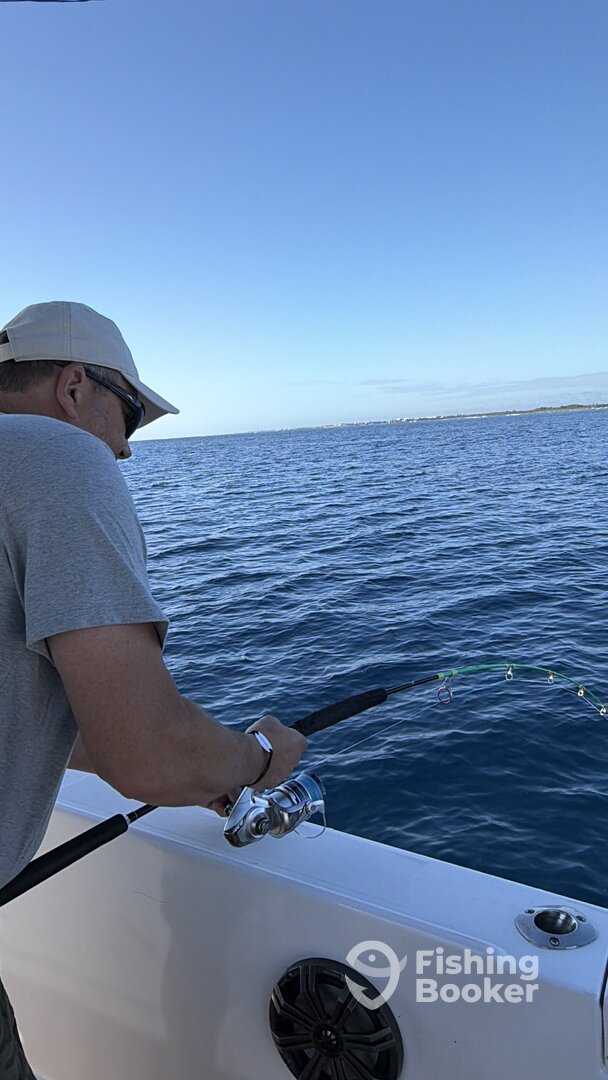 Playa Del Carmen Report Photo 0