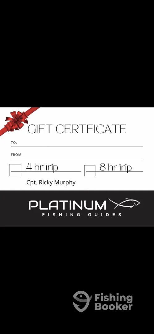 Chickamauga Lake Report Photo 0