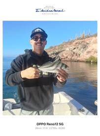 La Paz Report Photo 2