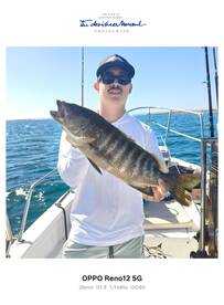 La Paz Report Photo 1