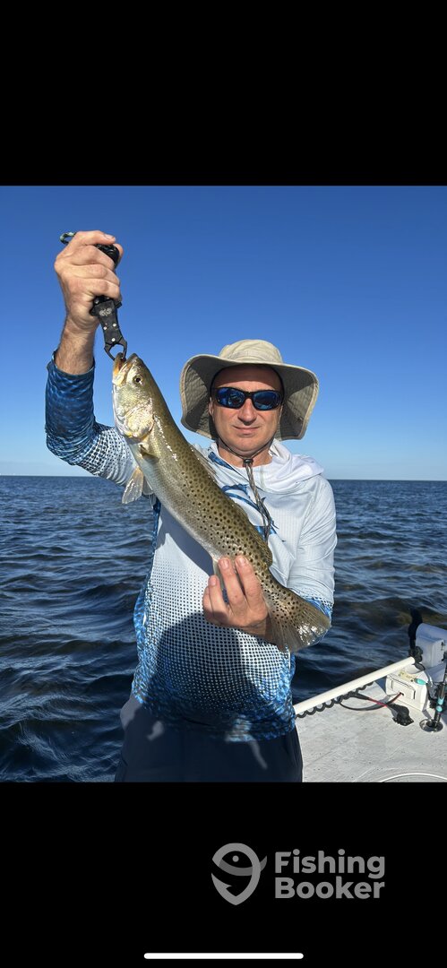 New Port Richey Report Photo 0