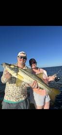 New Port Richey Report Photo 4