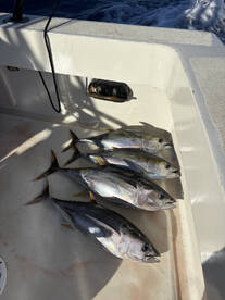 Hawaii Report Photo 1