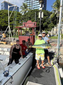 Honolulu Report Photo 2