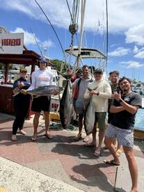 Honolulu Report Photo 2