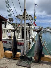 Honolulu Report Photo 1