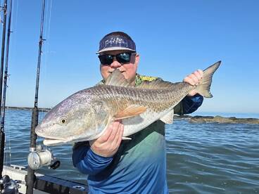 Galveston Report Photo 1