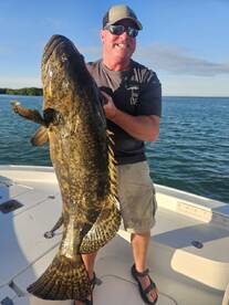 100lb Goliath grouper inshore 