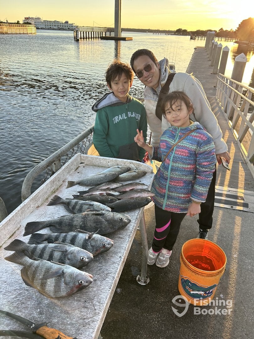 Jacksonville Report Photo 0