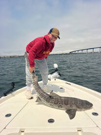 Excellent Fishing on San Diego Bay!