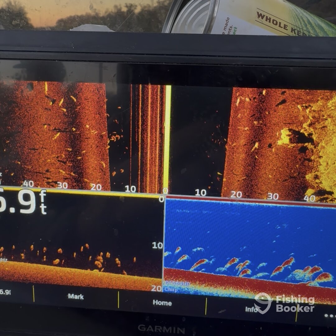 Bastrop Report Photo 0