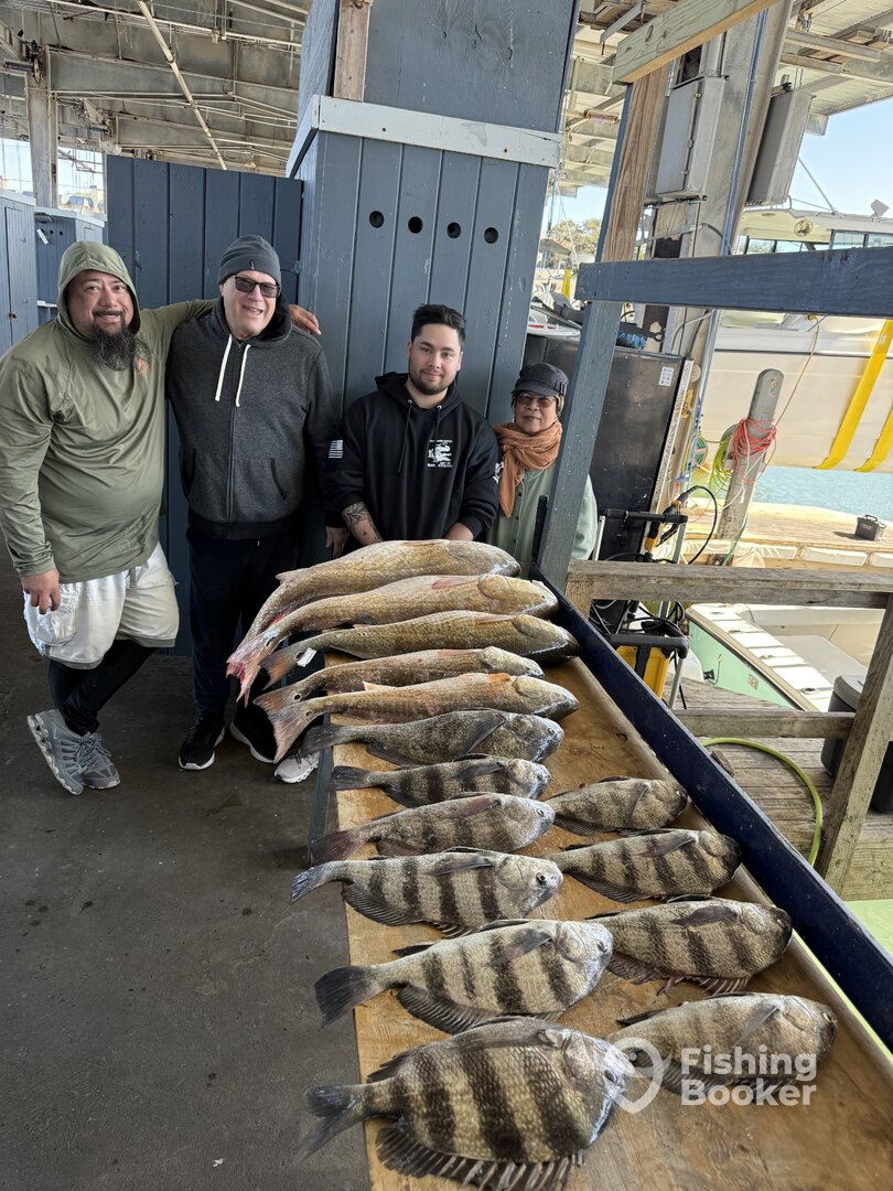 Galveston Report Photo 0