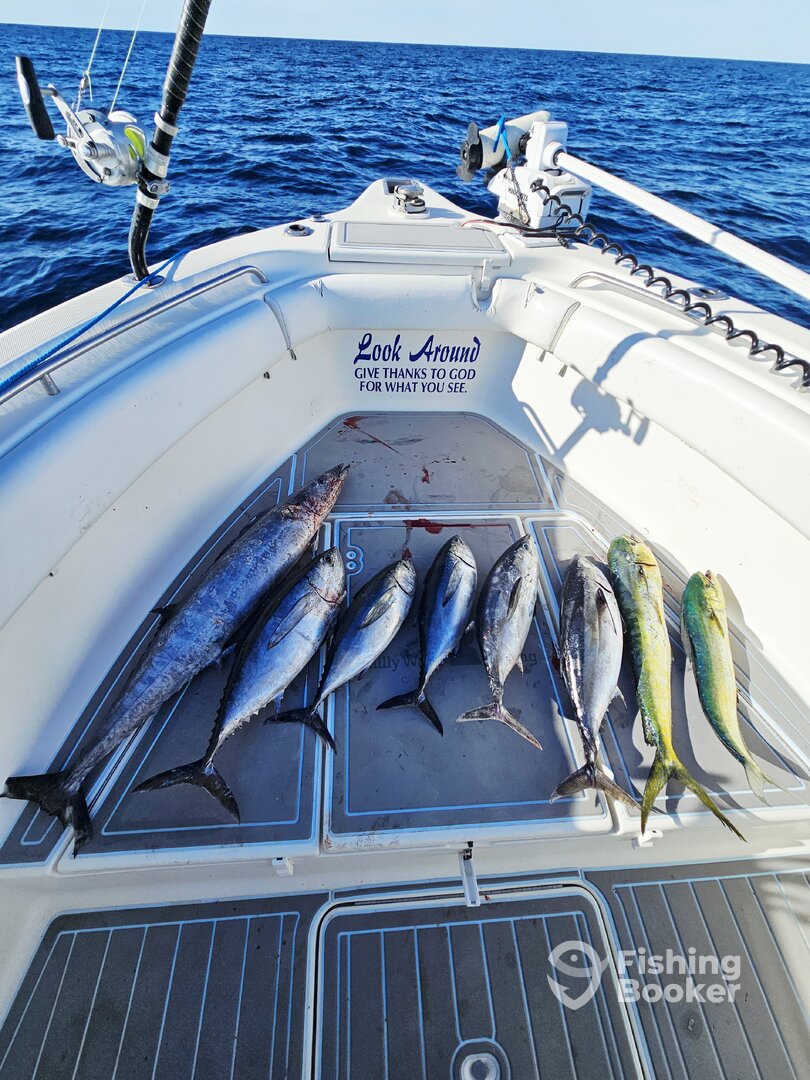 North Myrtle Beach Report Photo 0