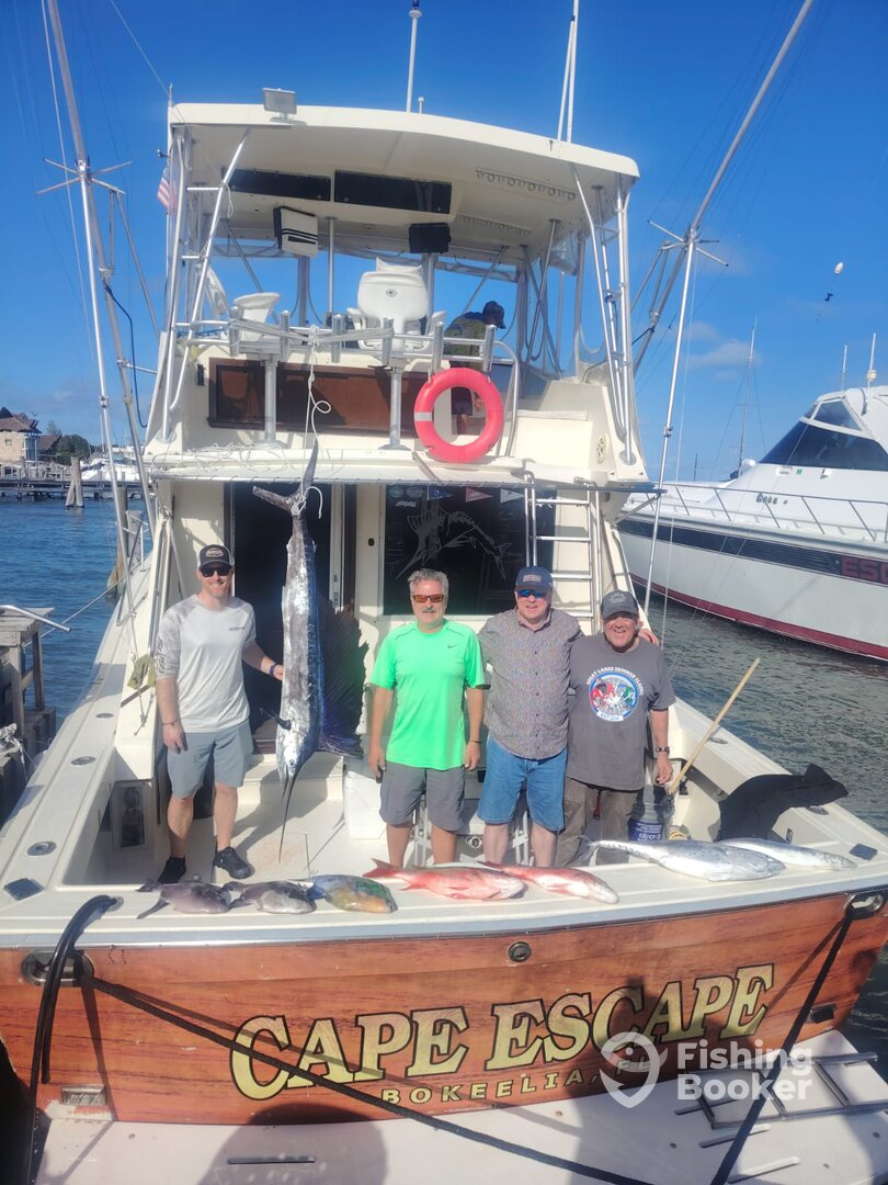 Sailfish Season Cape Escape Fishing Cancun