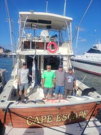 Sailfish Season Started!