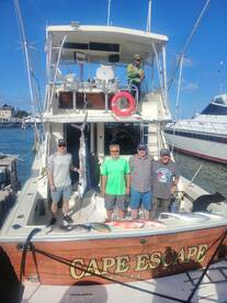 Mareva Fishing Cancun Sailfish