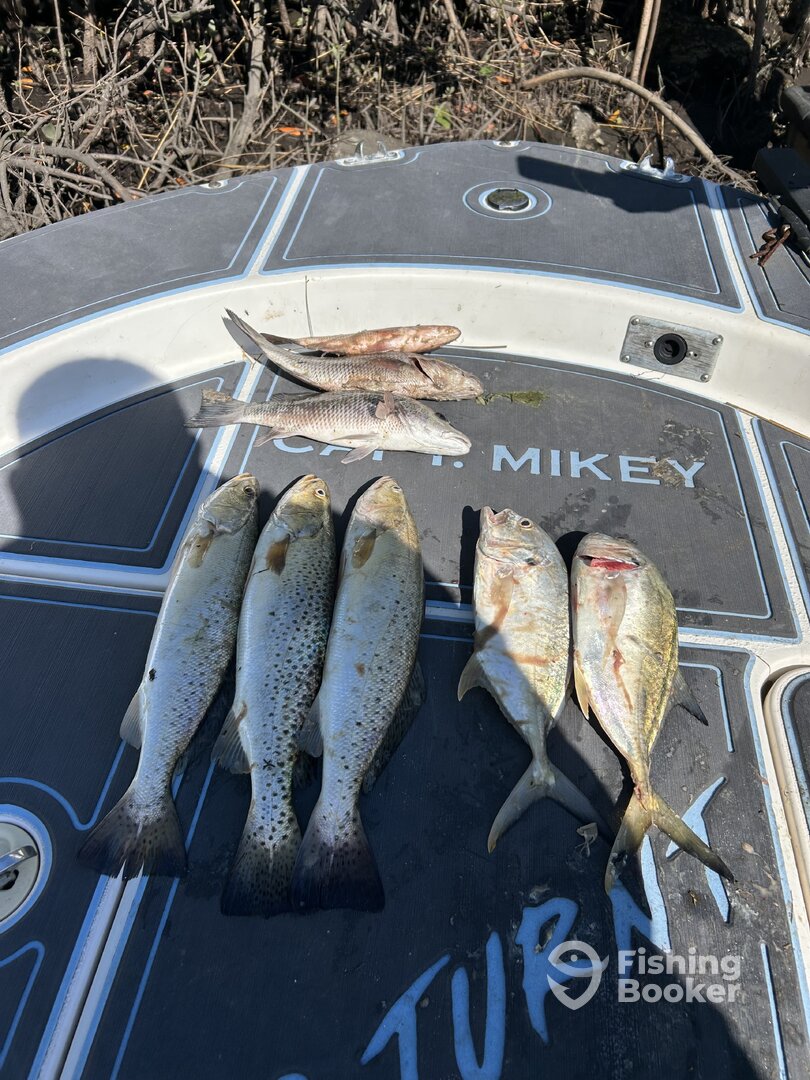 Spring Hill Report Photo 0