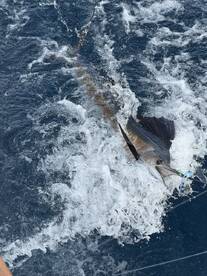 West Palm Beach Report Photo 2