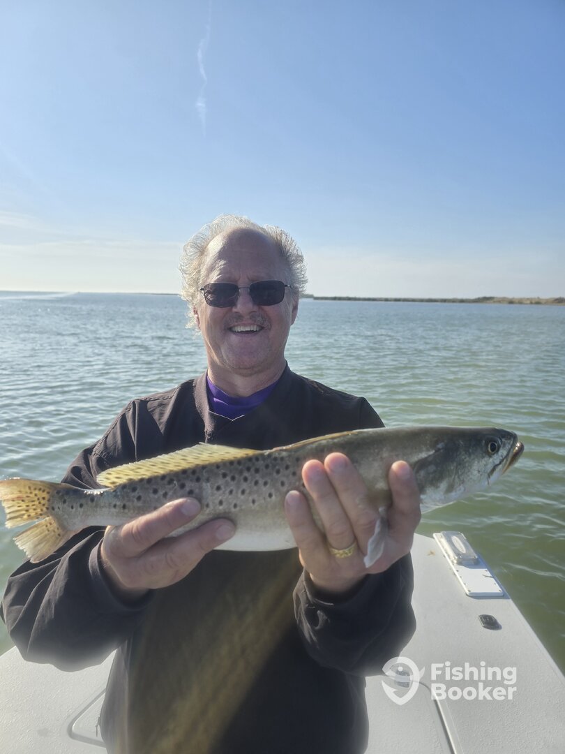 South Padre Island Report Photo 0