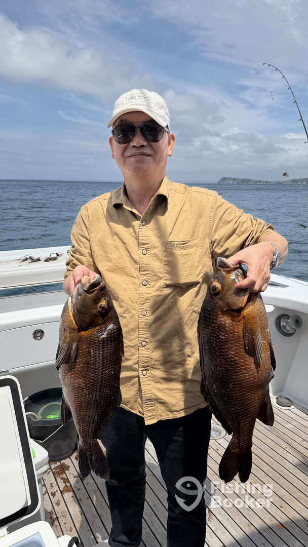 Gulf Harbour Report Photo 0