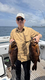 Auckland Report Photo 1