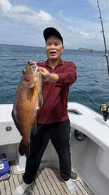 Auckland Report Photo 2